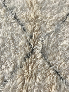 Ovis